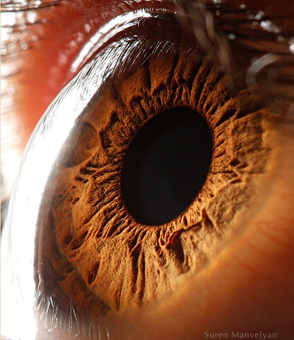 Google 申請近視矯正用電子眼膜裝置專利